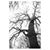 b1563a78ec59337587f6ab6397699afc%2FTS2 Moore II.jpg