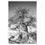 b1563a78ec59337587f6ab6397699afc%2FTS3 Kubu I.jpg