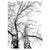 b1563a78ec59337587f6ab6397699afc%2FTS5 Bellvue.jpg