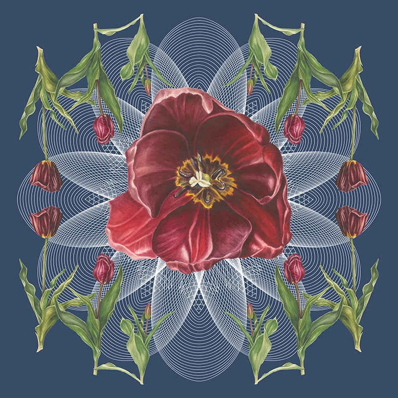 Tulip-Geo-Botanical-Mural-Indigo-by-Adrienne-Kerr-1.webp