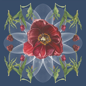 Tulip-Geo-Botanical-Mural-Indigo-by-Adrienne-Kerr-1.webp