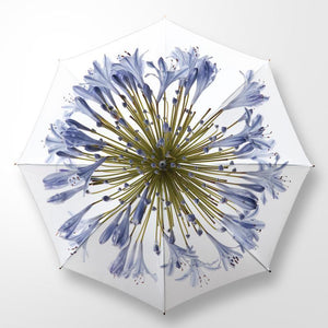 CLINTON FRIEDMAN USA NEW YORK AGAPANTHA FLOWER UMBRELLA