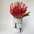 Untitled_202_85c21e3e-4b2b-4a49-bdc6-87f5a3f74557.png