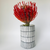 Untitled_204_625f1665-925c-466c-b4e5-b1fd0b30e5dd.png