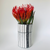 Untitled_205_5297e18e-0d92-4b16-a81c-e9a75a20bed1.png