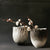 vessel Karoo impression smoke white.jpg