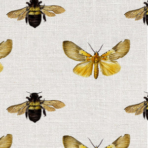 Bee and Moth Colour Wallpaper