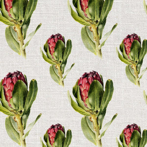 Protea Grandiceps Colour Wallpaper