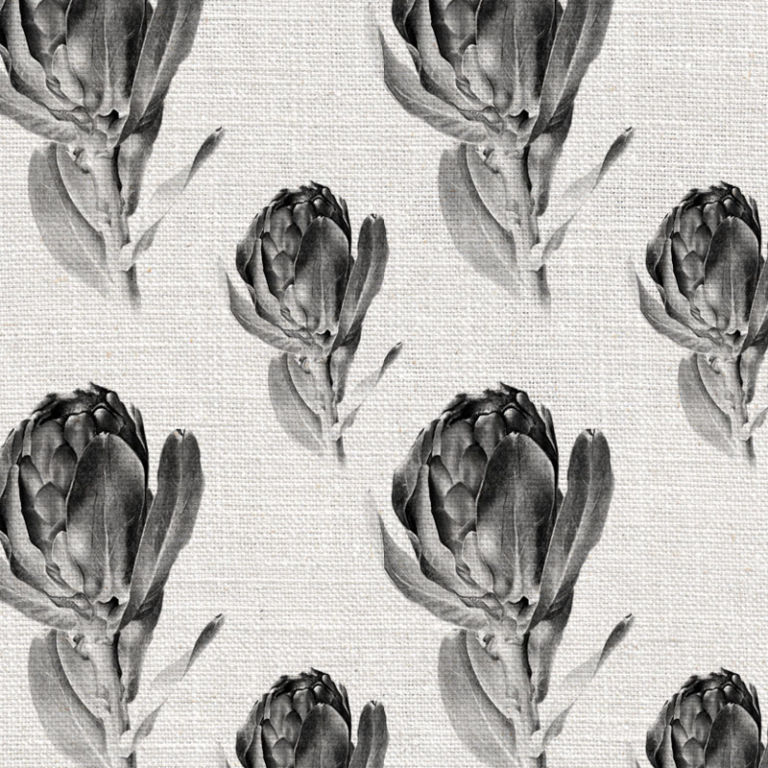 Protea Grandiceps Grey Wallpaper
