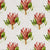 Protea King Colour Wallpaper