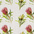 Protea Repens Colour Wallpaper