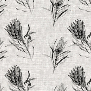 Protea Repens Grey Wallpaper