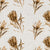 Protea Repens Sepia Wallpaper