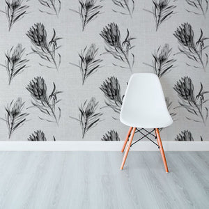 Protea Repens Grey Wallpaper