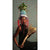 african_20queen_20lifestyle_046cdc0a-6808-4491-a167-d61523bea2b1.jpg