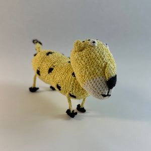 cheetah.jpg