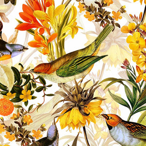colorful-birds-and-Redoute-flowers-white_800x800_dfdadb50-25c4-4bc8-910e-b8515089417b.jpg