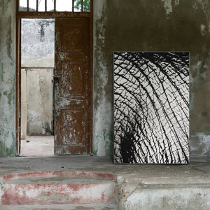 Elephant Limited Edition Artwork