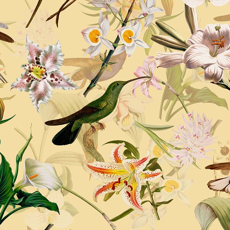 hummingbirds-and-tropical-flowers-soft-cream_800x800-1.jpg