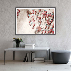 insitu-CARMINE4LIMITEDEDITIONARTPRINT_c524f307-cb14-46b0-91d4-04a1f31dbd92.jpg