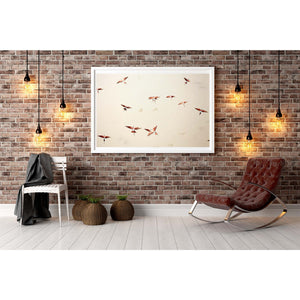 insitu-CARMINE9LIMITEDEDITIONARTPRINT.jpg