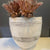 Ceramic large vessel white sgraffito