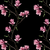 Magnolia – Black Wallpaper