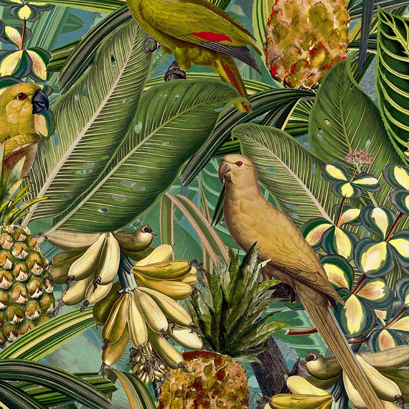 olorful-birds-in-jungle-with-bananas-dark-teal-and-green_800x800_906c240a-b818-4b8e-a719-2a70ab96e823.jpg