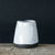small pitcher.jpg