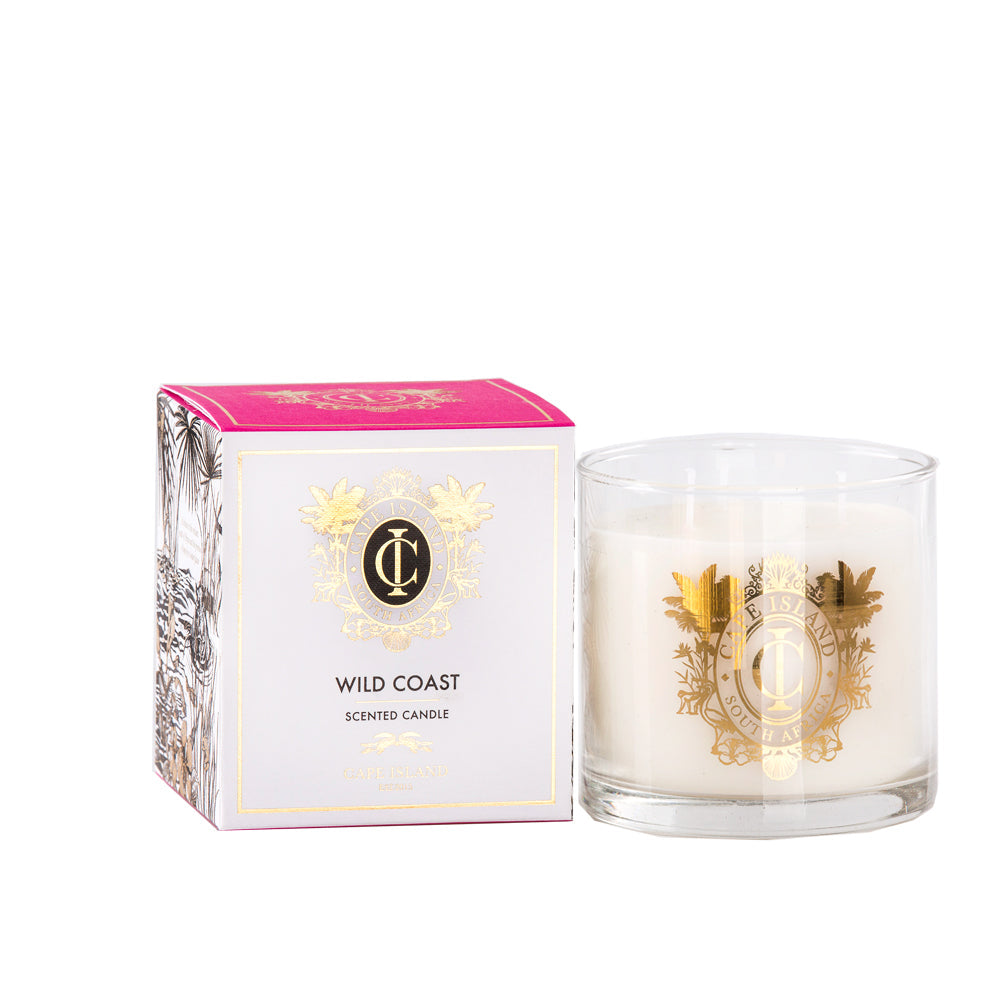 b1563a78ec59337587f6ab6397699afc%2Fwild-coast-large-candle.jpg