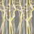yellowwhite.branches.silverback_800x800_0e867c32-71a4-425c-b4ce-79b0589418fc.jpg