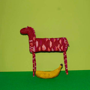 zebra 5 .jpg